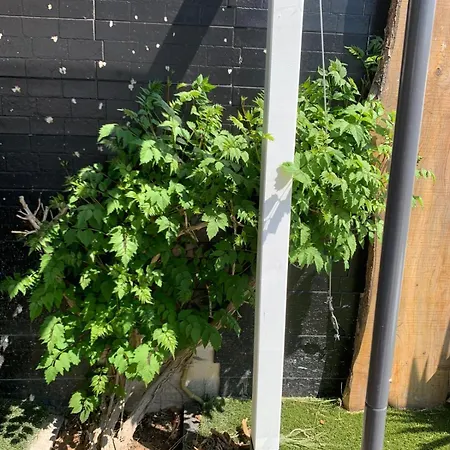 Nyvioni, Proche De La Mer, Avec Piscine Et Ferienhaus